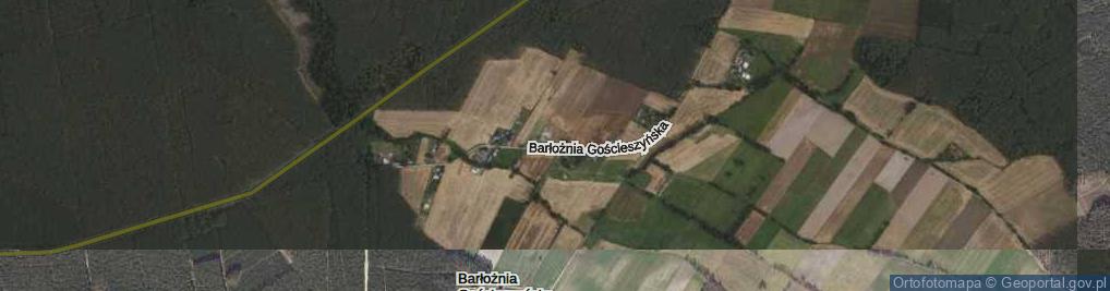 Zdjęcie satelitarne Barłożnia Gościeszyńska ul.